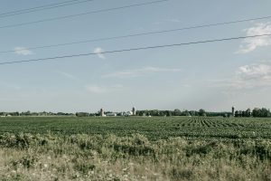 owning more land on field manitoba